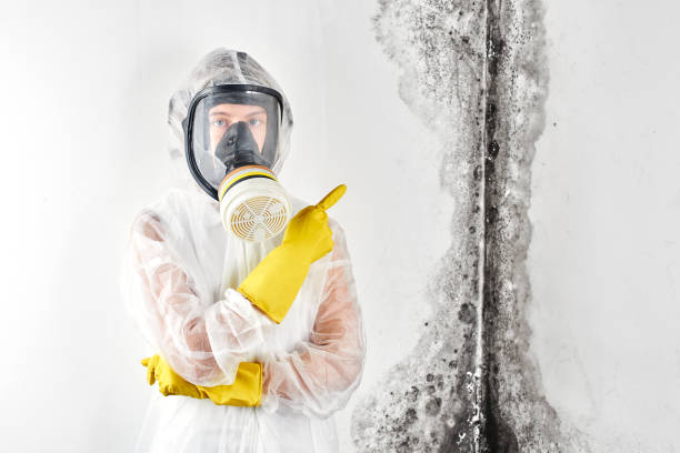 Best Mold Odor Removal Services  in Bunnell, FL