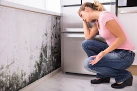 Best Air Quality Testing for Mold Spores  in Bunnell, FL